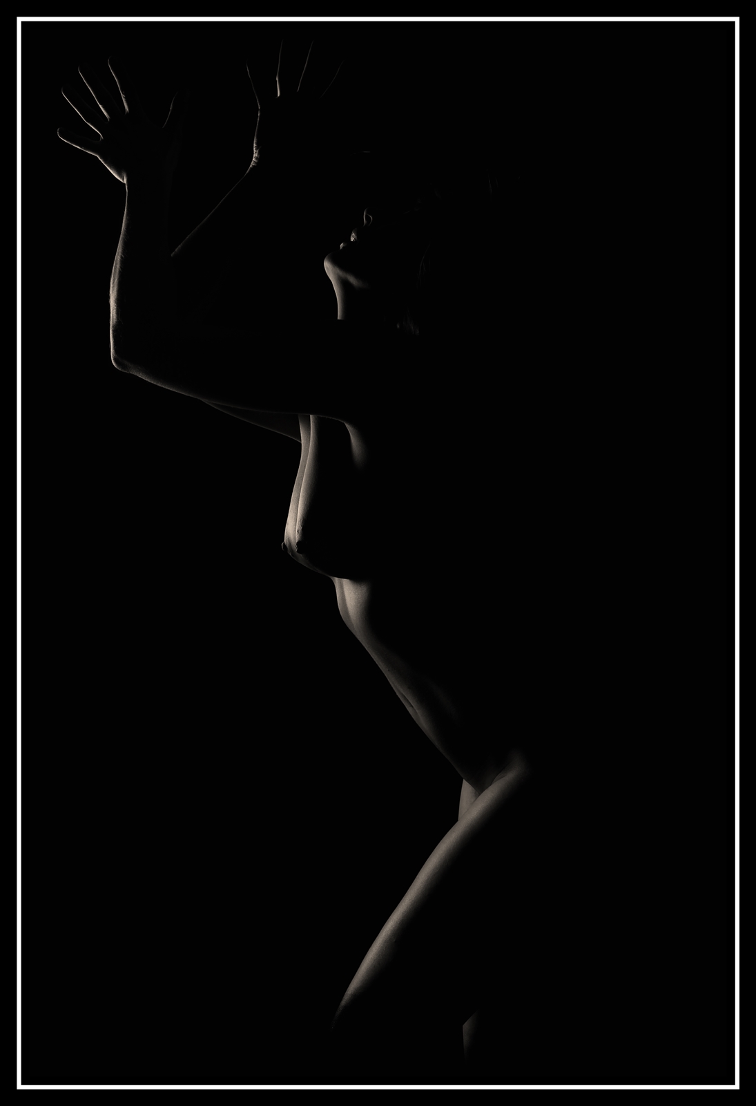Lt   01   452web